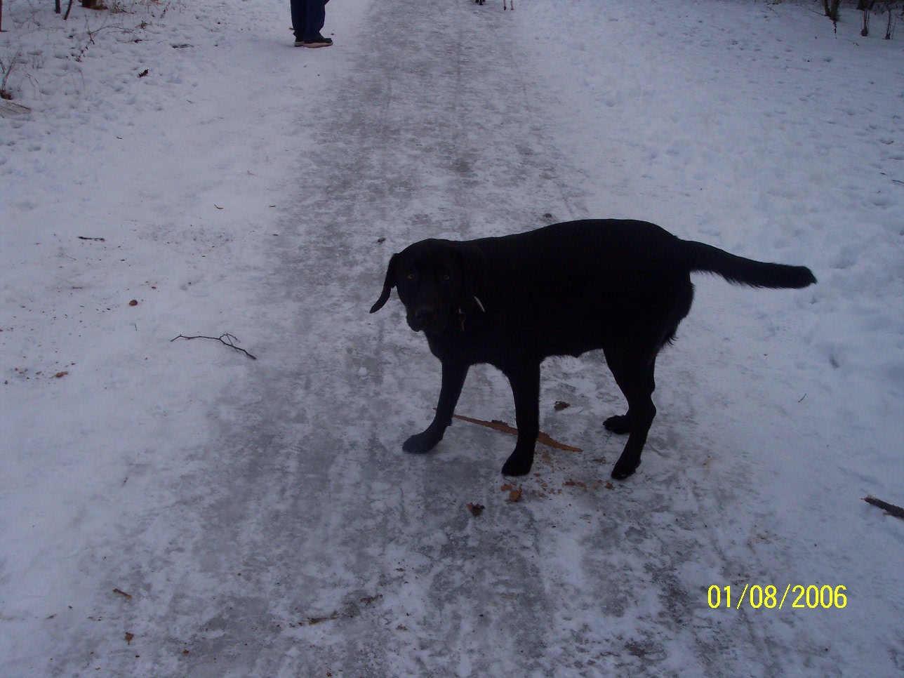 100_4258.JPG